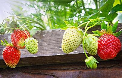 EA即时服务赚了54亿美元 占总营收的71%